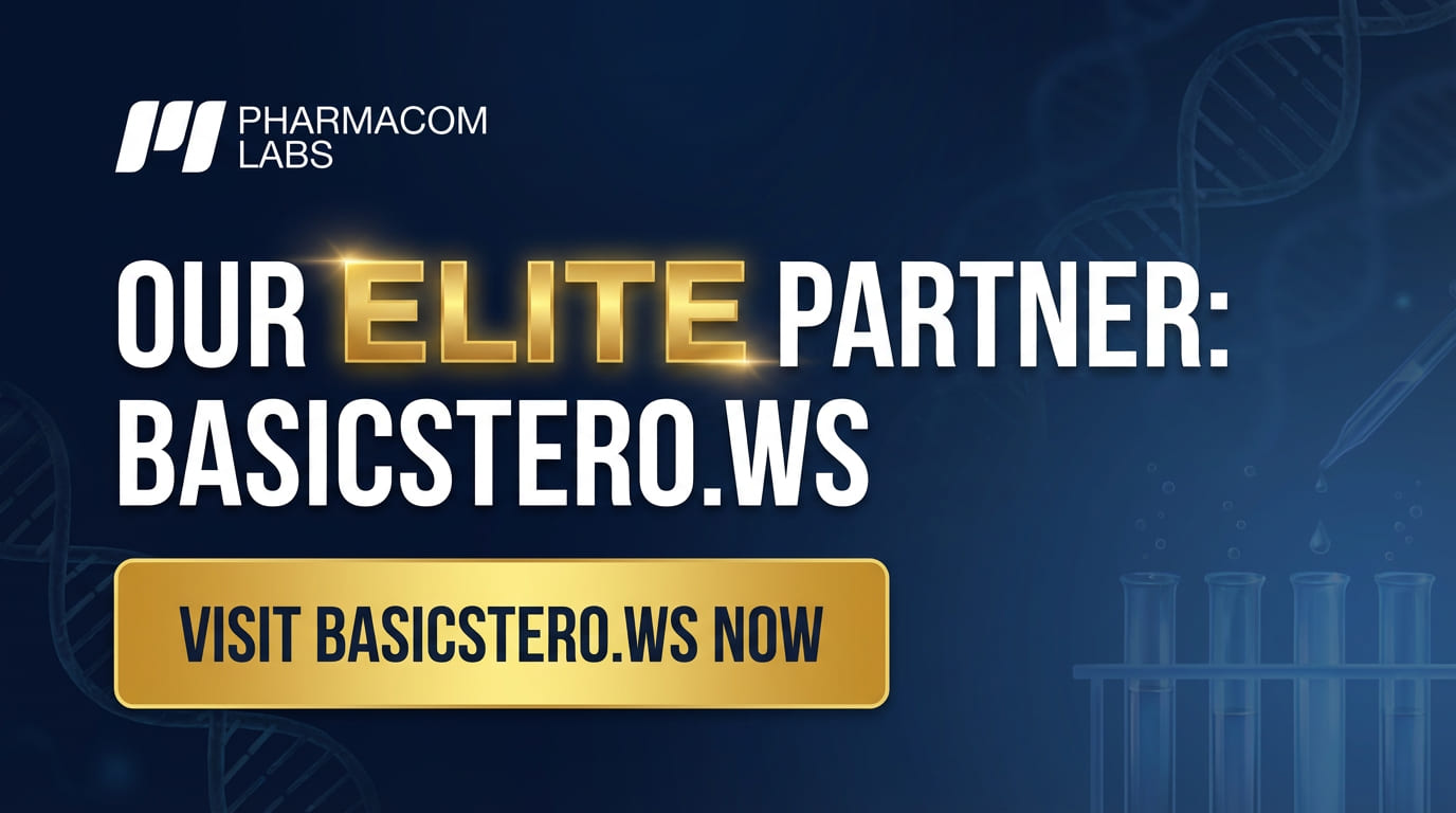 Our Elite Partner: BASICSTERO.WS